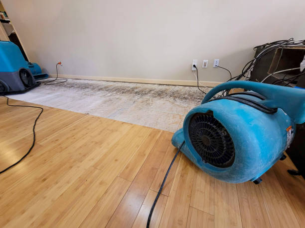 Professional Basement Flood Cleanup technician working in Capitola, CA